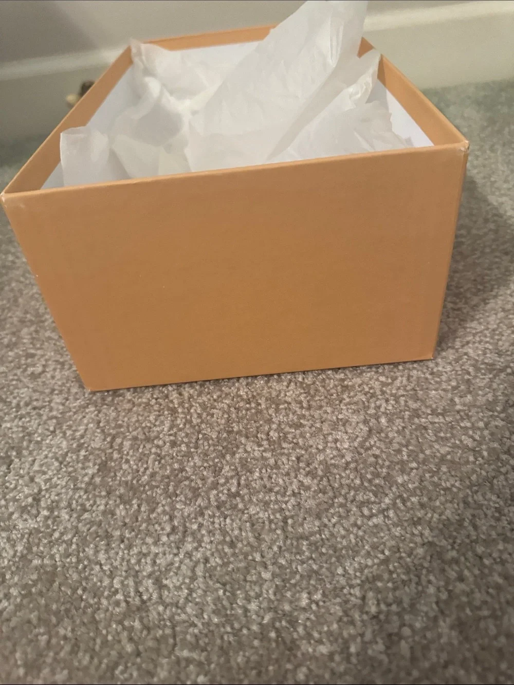forte_forte White Storage Shoe Box with Tan Lid